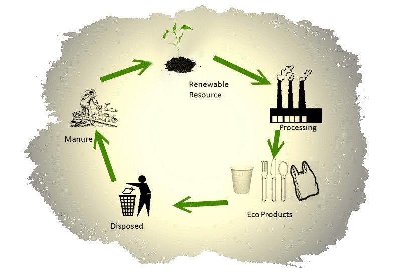 What does 'eco-friendly' actually mean?