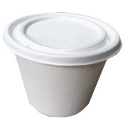 buy bagasse container online india