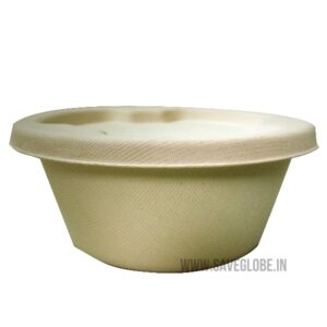 900 ml bagasse container