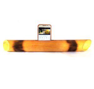 bamboo speaker india