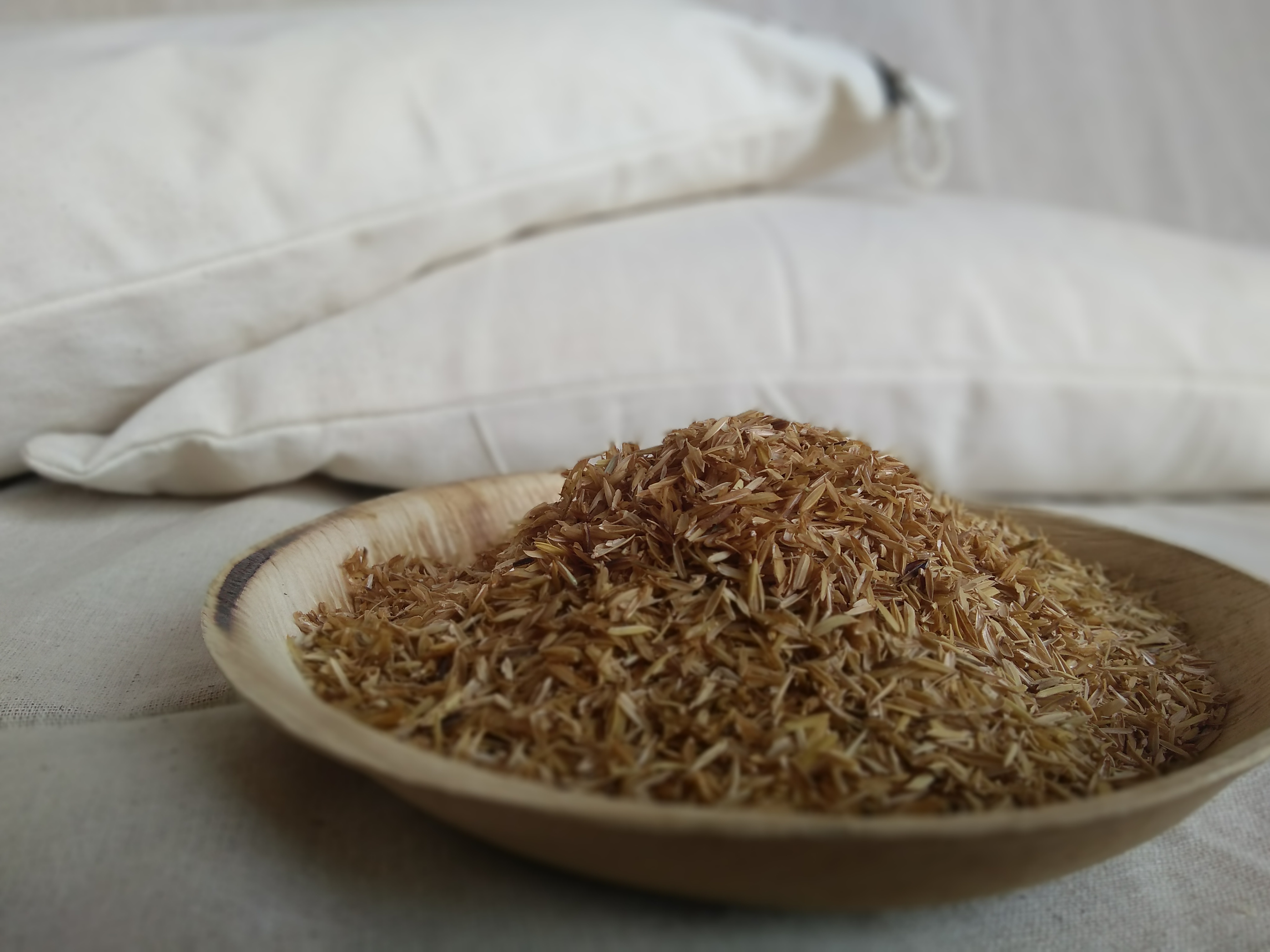 Ecofriendly Pillow india