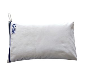 buck wheat hull pillow