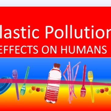 Plastic Pollution: Effects on our health