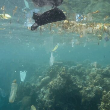 Plastic pollution: Threat to our fresh water and ocean ecosystems