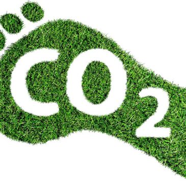 Carbon foot print: How to reduce its impact on our planet